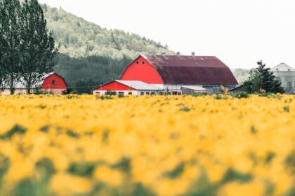 Key Features of Durable Barn Kits in Canada